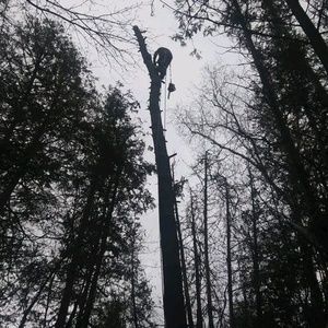 Meet your Posher, Gary